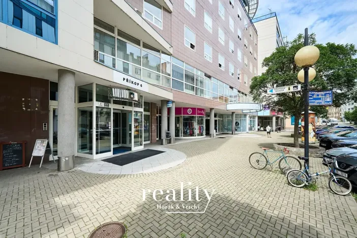 Prodej bytu 4+1, Brno, Příkop, 181 m2