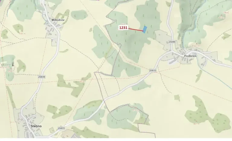 Dražba lesa, Stebno, 1462 m2