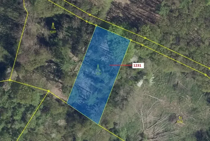 Dražba lesa, Stebno, 1462 m2