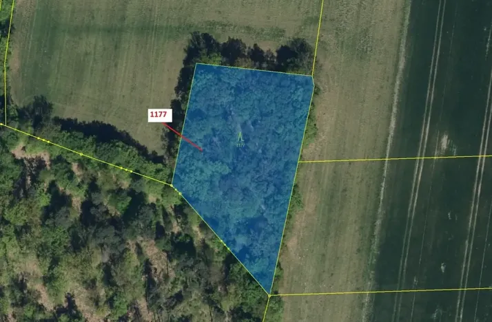 Dražba lesa, Vlčí Habřina, 4658 m2