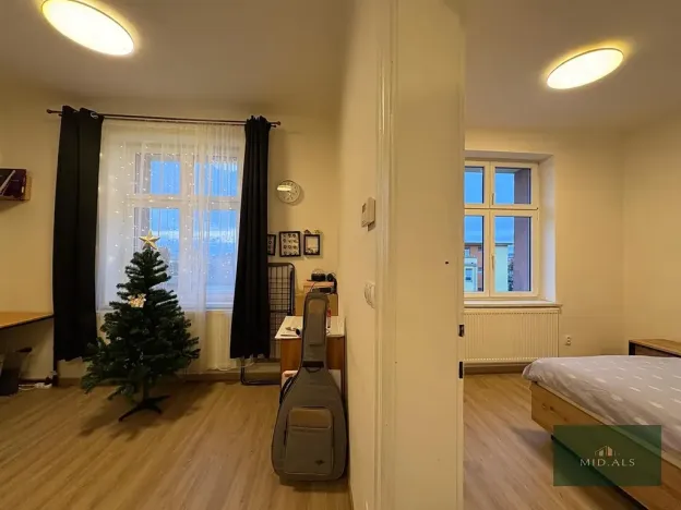 Pronájem bytu 2+1, Plzeň, Edvarda Beneše, 48 m2