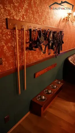 Prodej vícegeneračního domu, Rozdrojovice, 850 m2