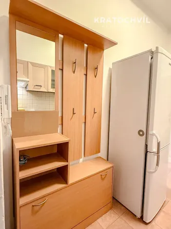 Pronájem bytu 1+kk, Praha - Nusle, Na Veselí, 42 m2