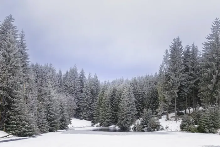 Prodej bytu 2+kk, Loučná pod Klínovcem, 40 m2