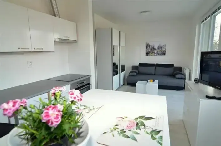 Pronájem bytu 1+kk, Vestec, U Hrubých, 35 m2