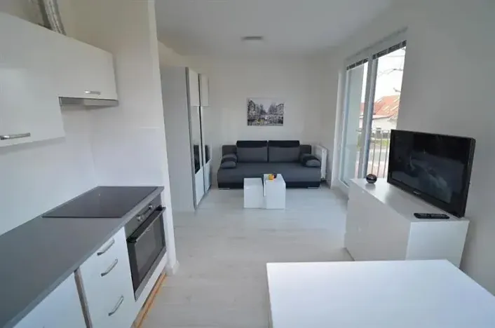 Pronájem bytu 1+kk, Vestec, U Hrubých, 35 m2