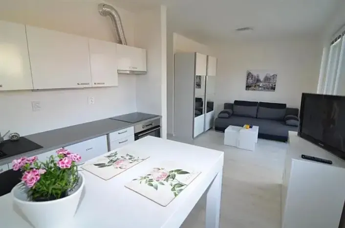 Pronájem bytu 1+kk, Vestec, U Hrubých, 35 m2