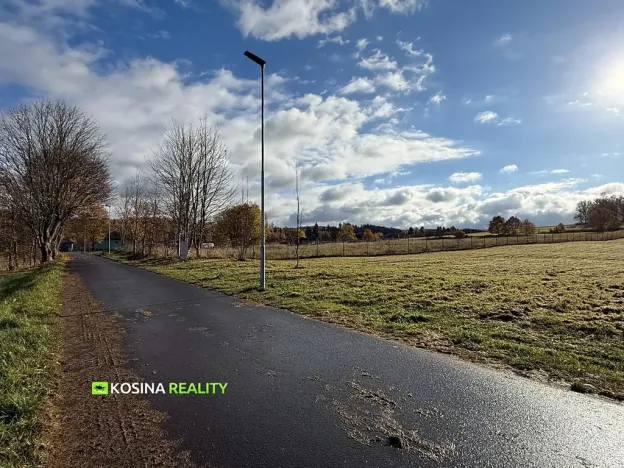 Prodej pozemku pro bydlení, Kynšperk nad Ohří, Petra Bezruče, 4145 m2