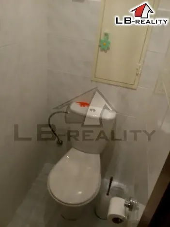 Pronájem bytu 1+1, Kolín, Dělnická, 36 m2