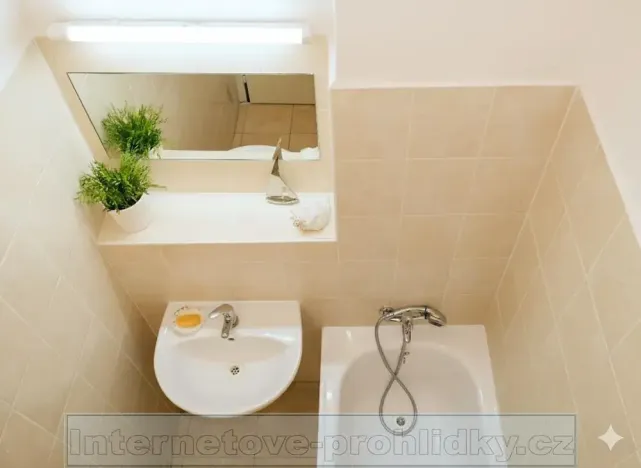 Pronájem pokoje, Praha - Břevnov, Šlikova, 17 m2