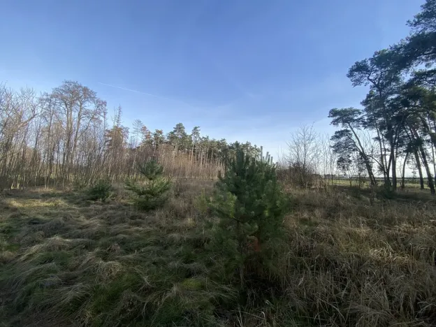 Prodej lesa, Kostelní Lhota, 9438 m2