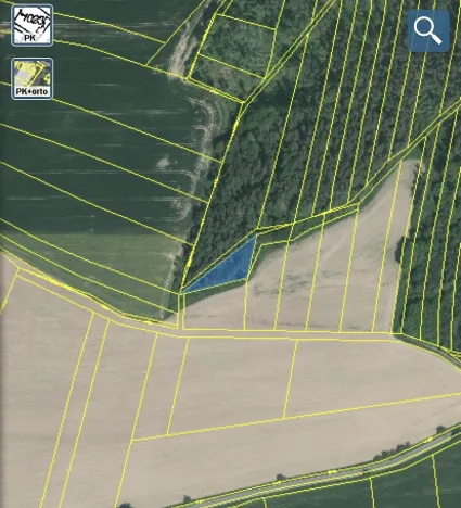 Prodej lesa, Blížejov - Lštění, 1122 m2