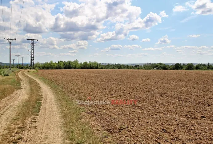 Prodej komerčního pozemku, Dobšice, 19700 m2