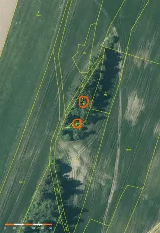 Prodej lesa, Nová Bystřice, 1069 m2