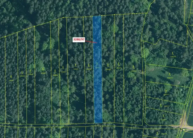 Dražba lesa, Hosty, 1729 m2