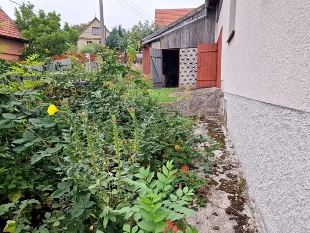 Prodej rodinného domu, Dolní Hbity, 140 m2