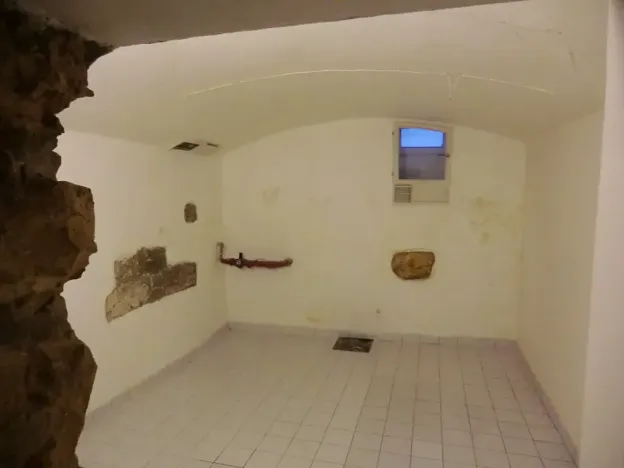 Pronájem rodinného domu, Praha - Břevnov, Na zástřelu, 297 m2