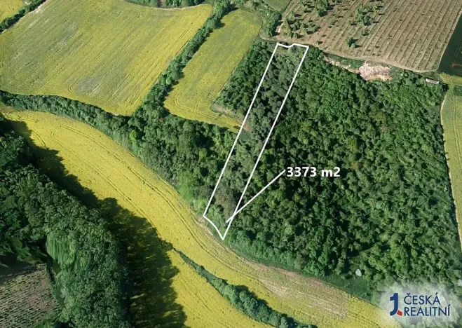 Prodej pole, Čejkovice, 3373 m2