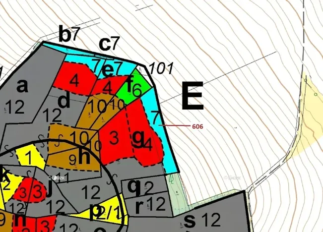 Dražba lesa, Kuřimany, 2526 m2