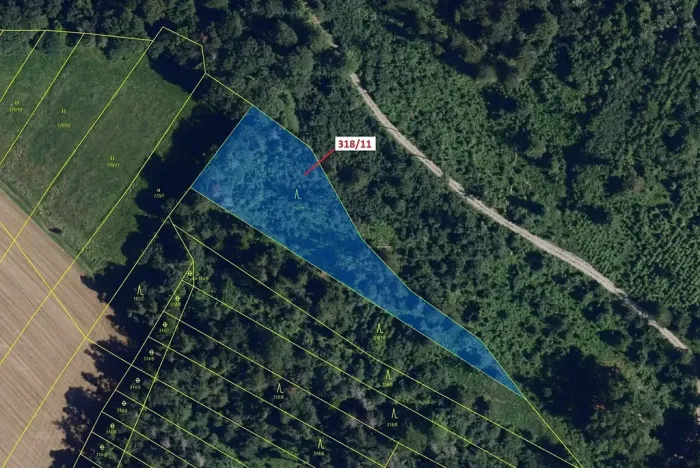 Dražba lesa, Lesní Hluboké, 3838 m2