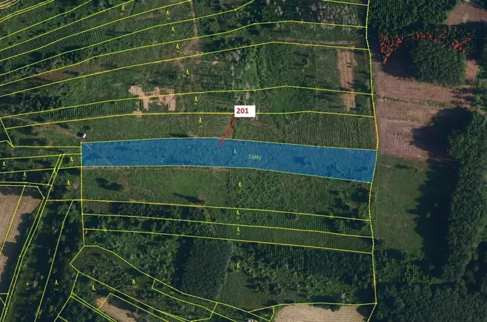 Dražba lesa, Loukovice, 7796 m2