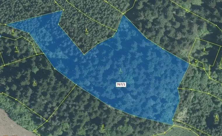 Dražba lesa, Lačnov, 12637 m2