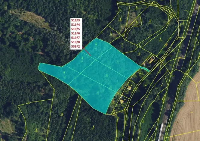 Dražba lesa, Lhota Rapotina, 11294 m2