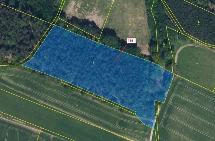 Dražba lesa, Olešnice, 15378 m2