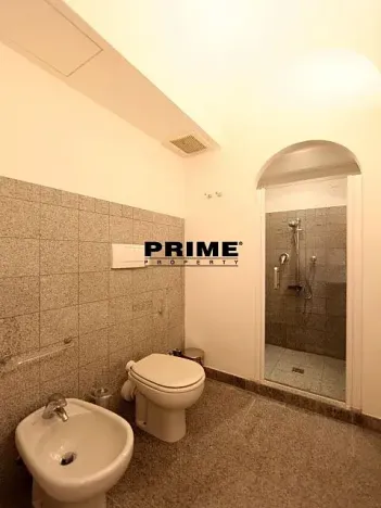 Pronájem bytu 2+kk, Praha - Malá Strana, Vlašská, 92 m2