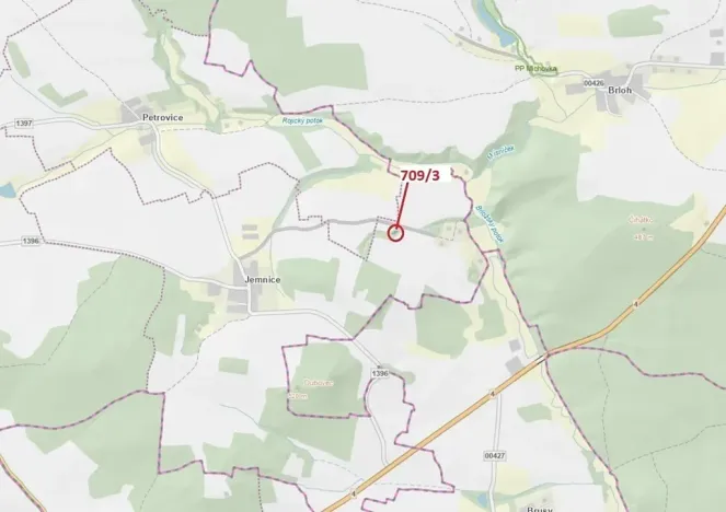 Dražba lesa, Osek, 301 m2