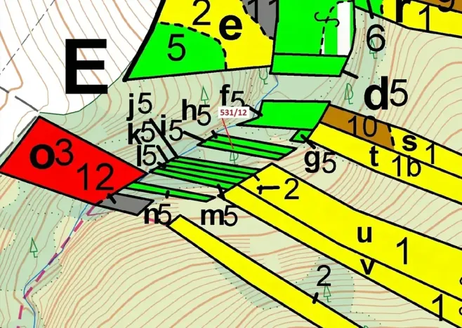 Dražba lesa, Havlíčkův Brod, 281 m2