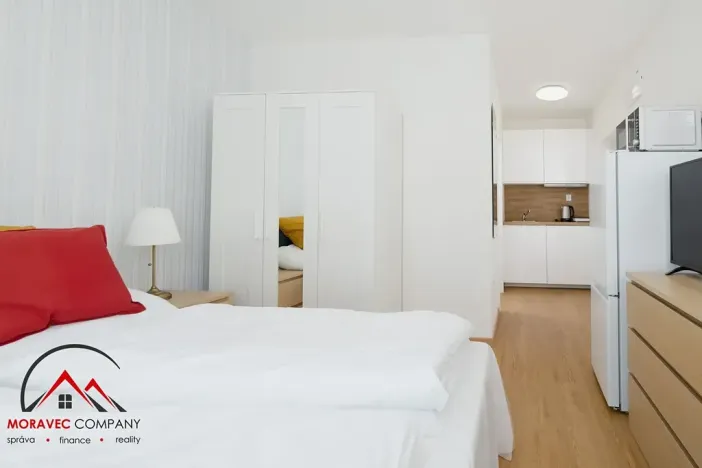 Pronájem bytu 1+kk, Ostrava, Cihelní, 17 m2