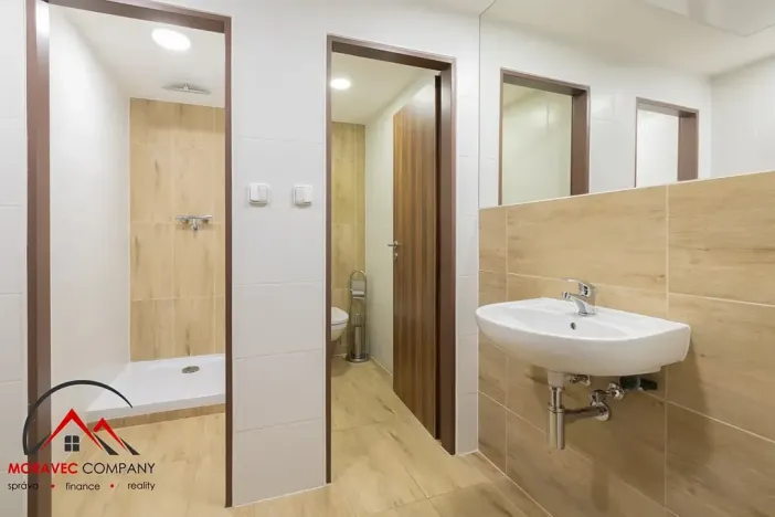 Pronájem bytu 1+kk, Ostrava, Cihelní, 17 m2