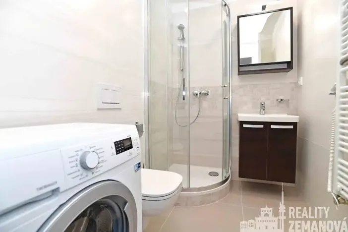 Pronájem bytu 1+kk, Praha - Vinohrady, Řipská, 30 m2