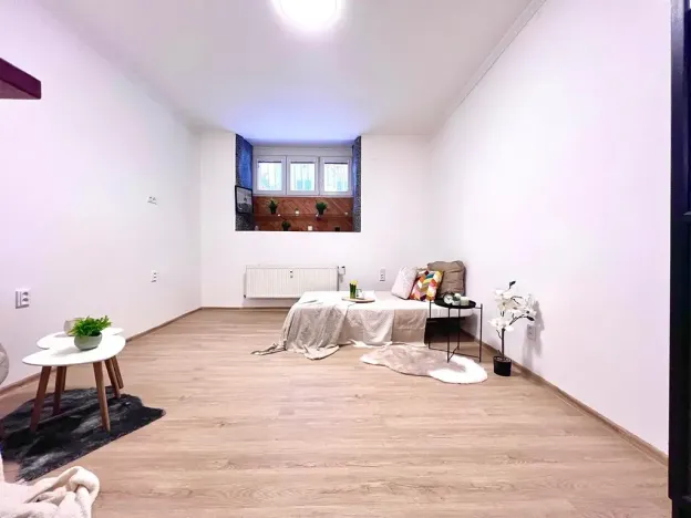 Prodej bytu 1+1, Praha - Žižkov, Biskupcova, 29 m2