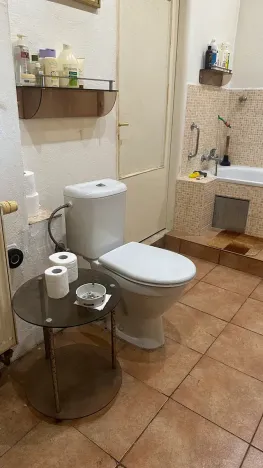 Prodej rodinného domu, Líský, 250 m2