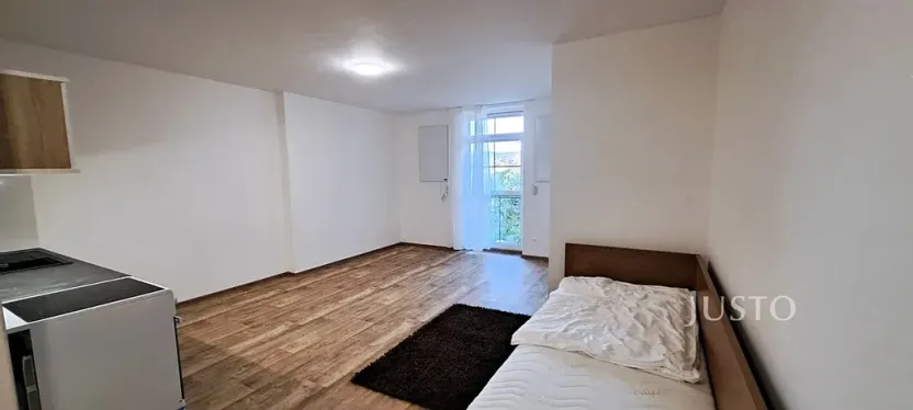 Pronájem bytu 1+kk, Čížová, 29 m2