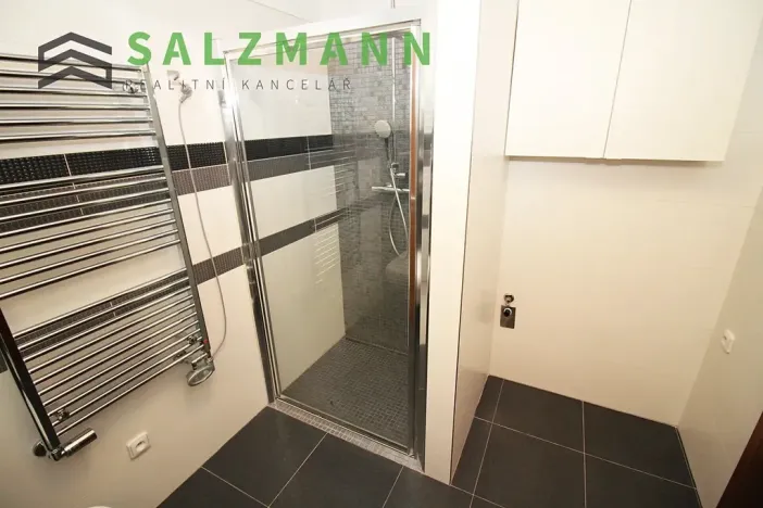 Prodej bytu 2+kk, Plzeň, Divadelní, 57 m2