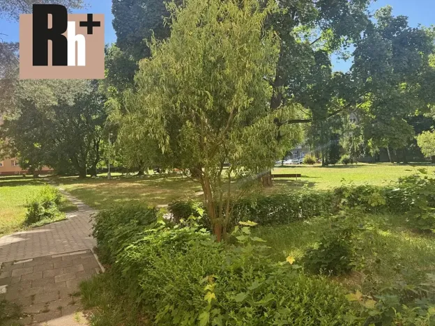 Pronájem bytu 2+1, Ostrava, Čkalovova, 54 m2