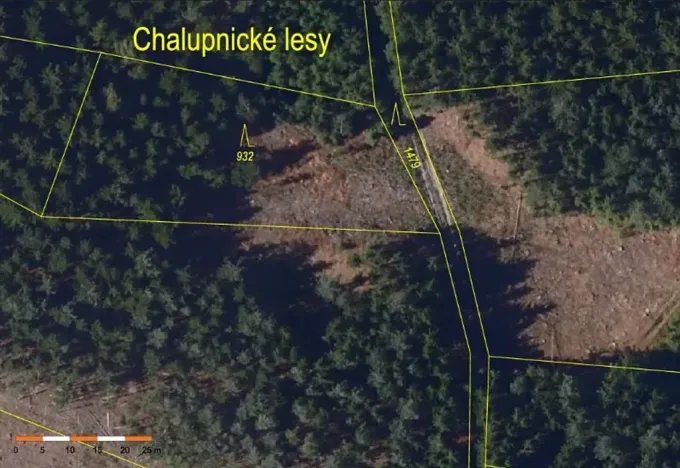 Prodej lesa, Česká Bělá, 7690 m2