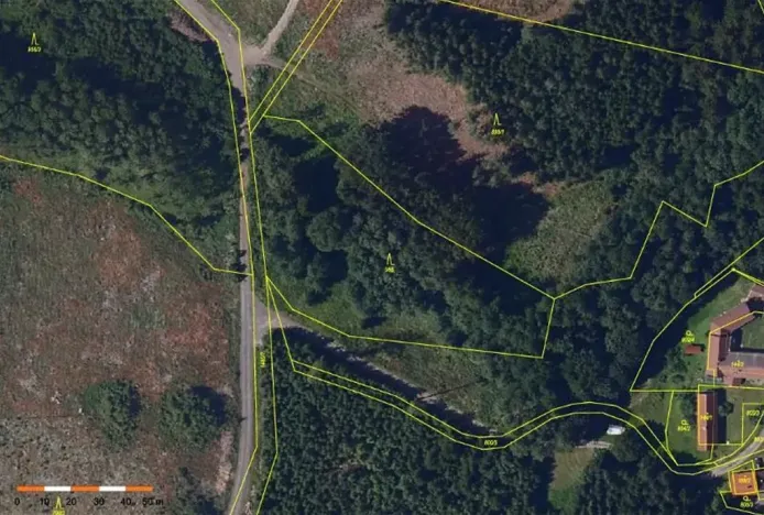 Prodej lesa, Česká Bělá, 7690 m2