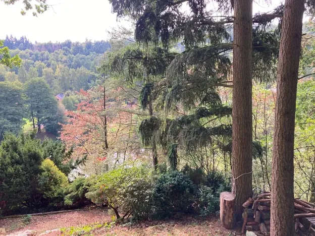 Prodej pozemku pro bydlení, Samopše, 1526 m2