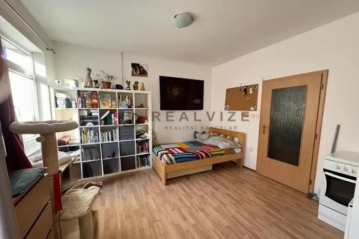Pronájem bytu 1+kk, České Budějovice, Nová, 30 m2