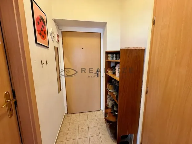 Pronájem bytu 1+kk, České Budějovice, Nová, 30 m2