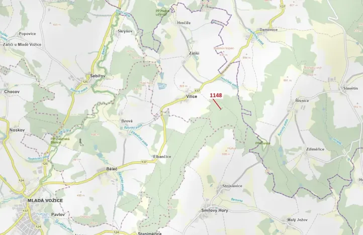 Dražba lesa, Vilice, 1105 m2