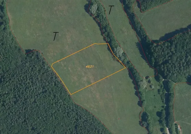 Prodej pole, Slavičín - Nevšová, 16521 m2