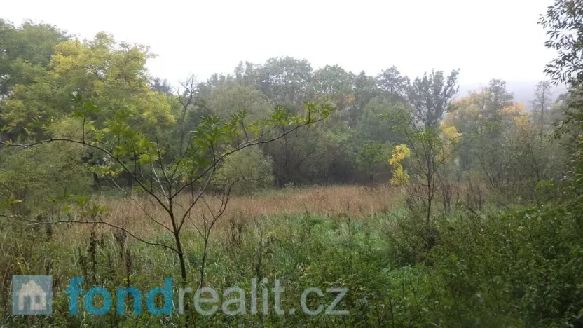 Prodej zahrady, Biskupice-Pulkov, 986 m2