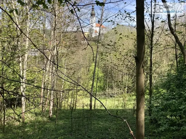 Prodej pozemku pro bydlení, Branná, 7409 m2