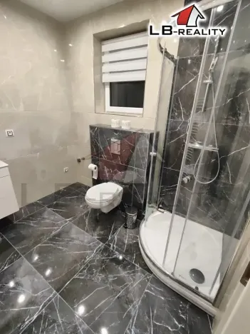 Pronájem bytu 2+kk, Kolín, Politických vězňů, 55 m2