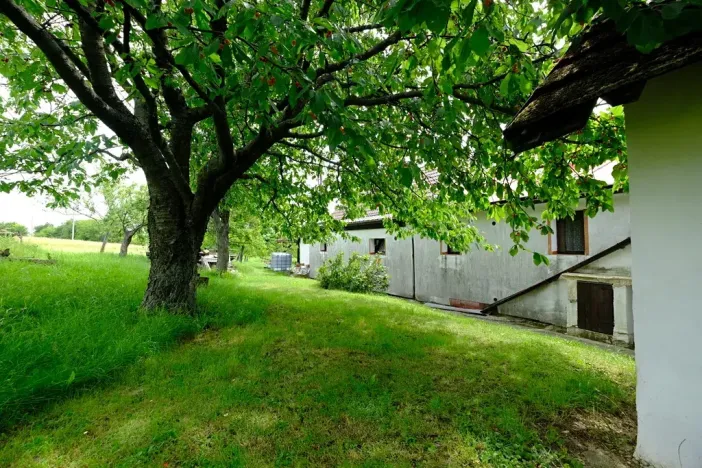 Prodej chalupy, Stříbrnice, 90 m2